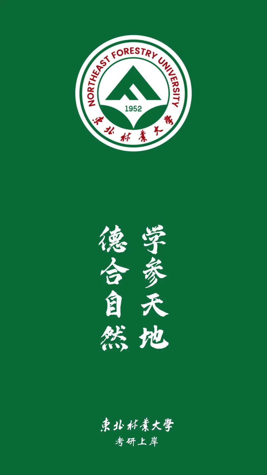 东北林业大学(东北林业大学教务系统登录入口)