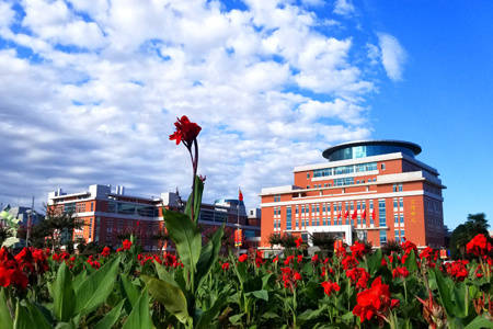 西北农林科技大学(西北农林科技大学农学院)