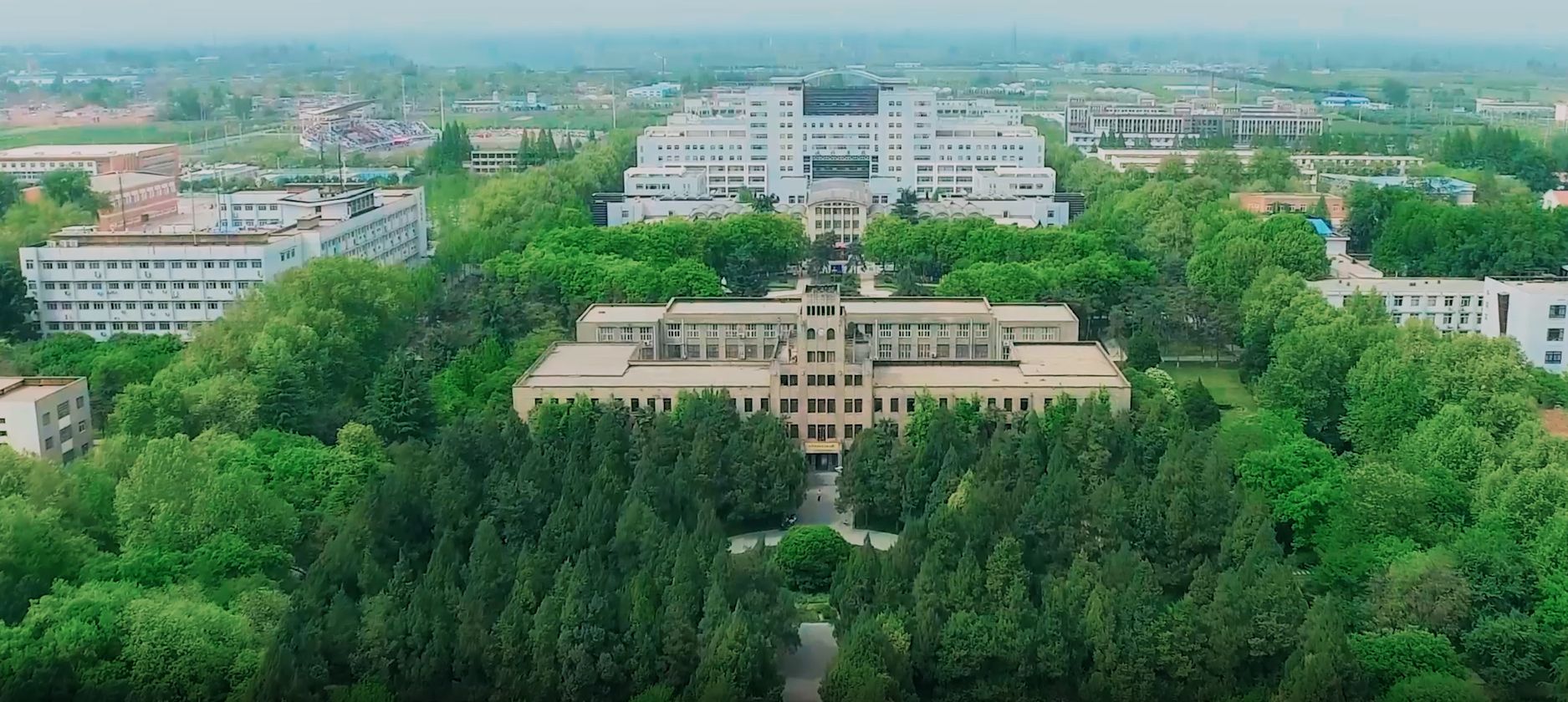 西北农林科技大学毕业证(西北农林科技大学毕业证样本)