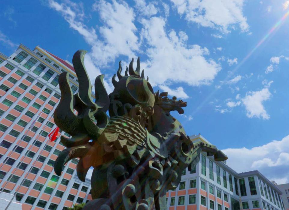 中央财经大学(中央财经大学考研分数线)