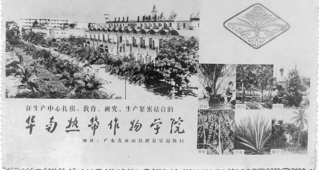 海南大学学历