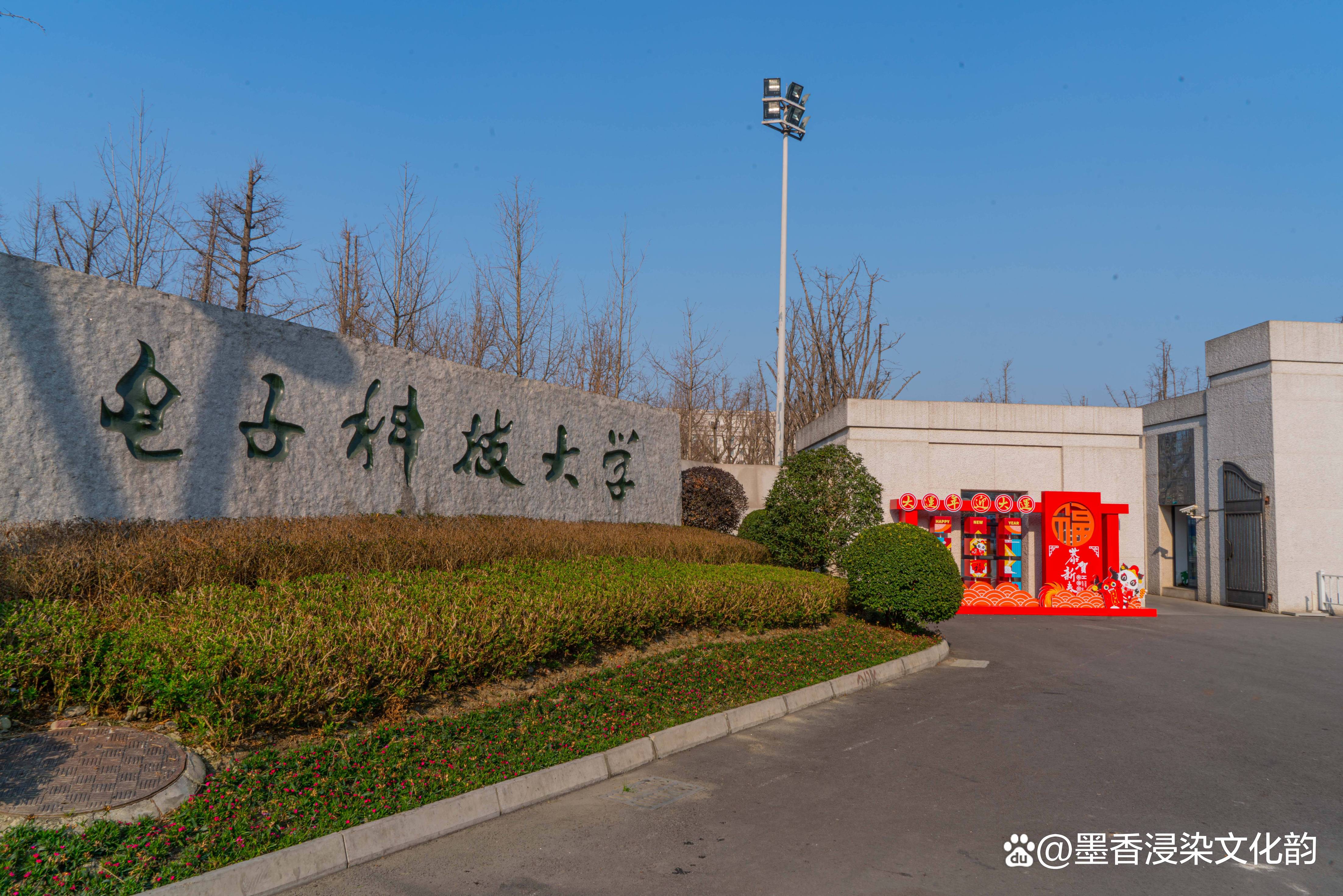 电子科技大学录取线2024