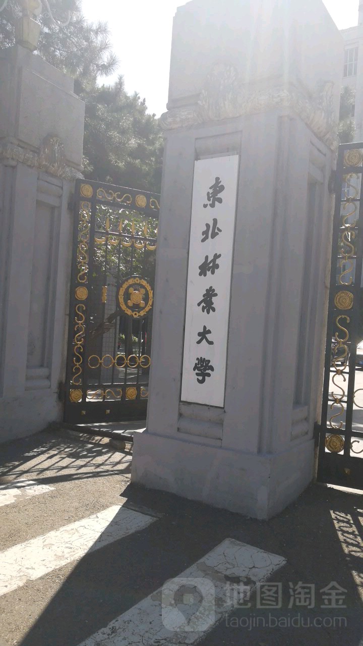 东北林业大学成人本科毕业证