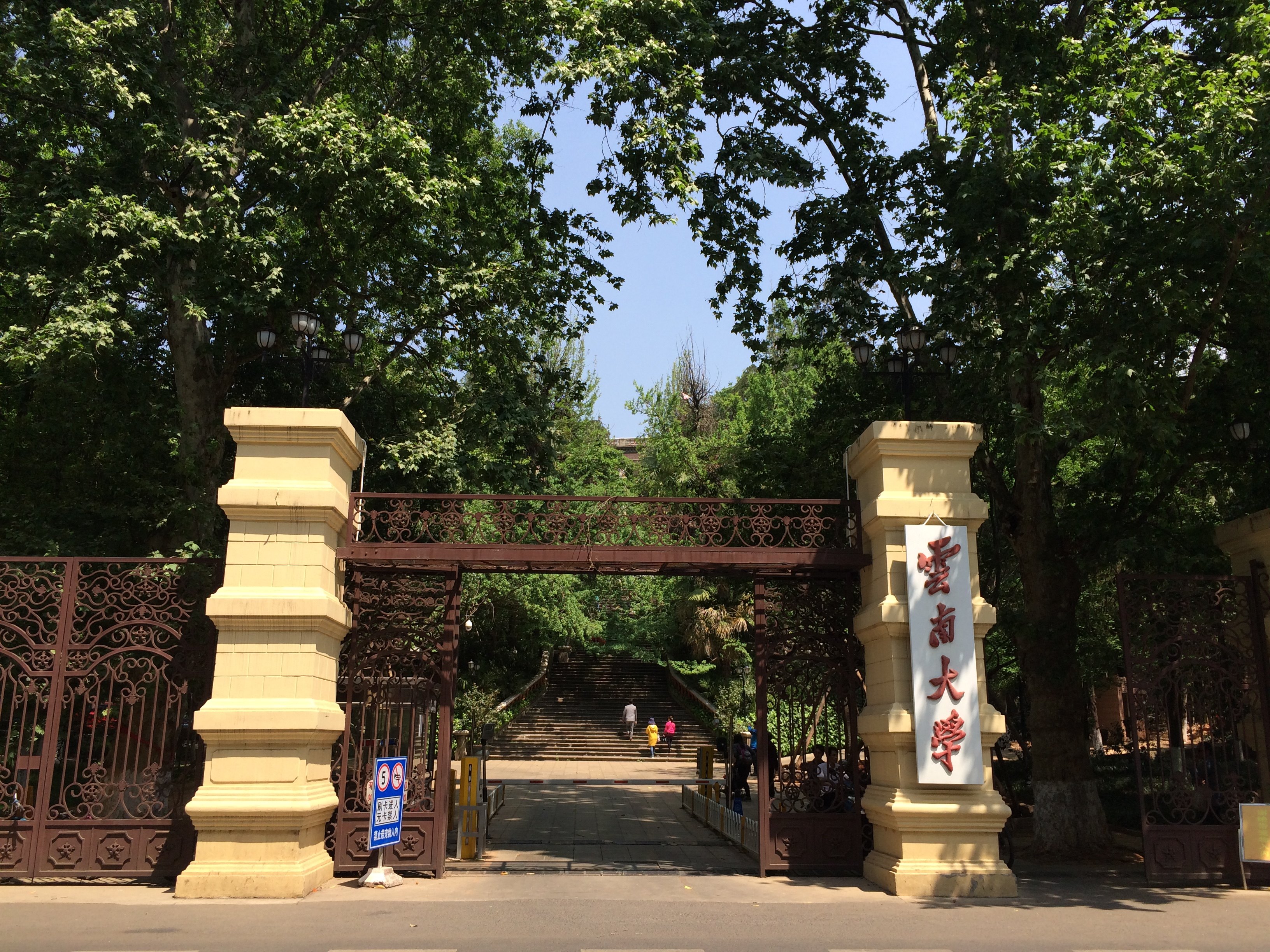 云南大学本科招生网
