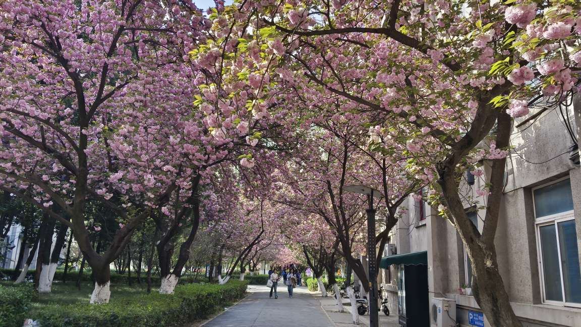 西安交通大学学生邮箱